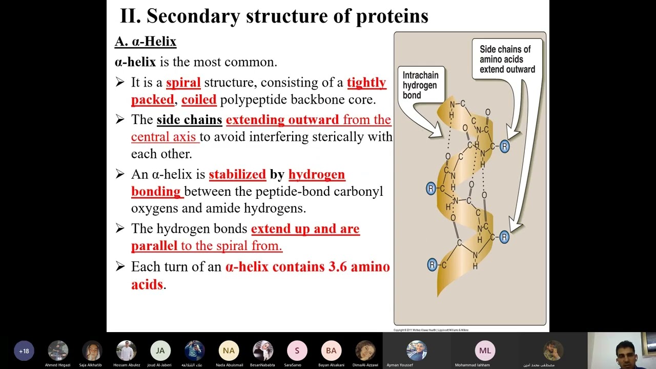 Biochemistry 1 – Lecture 6 Tertiary Structure of Proteins