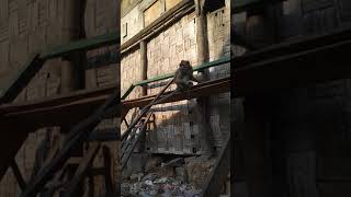 Makani Kethek Buncil