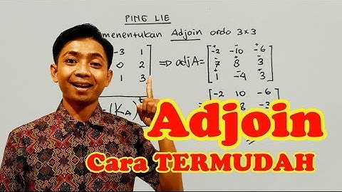 Menentukan Adjoin Matriks 3x3 Dengan SATU Langkah #TanyaPINGLIE