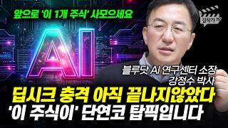딥시크 충격 아직 끝나지않았다, '이 주식이' 단연코 탑픽입니다 (강정수 박사)
