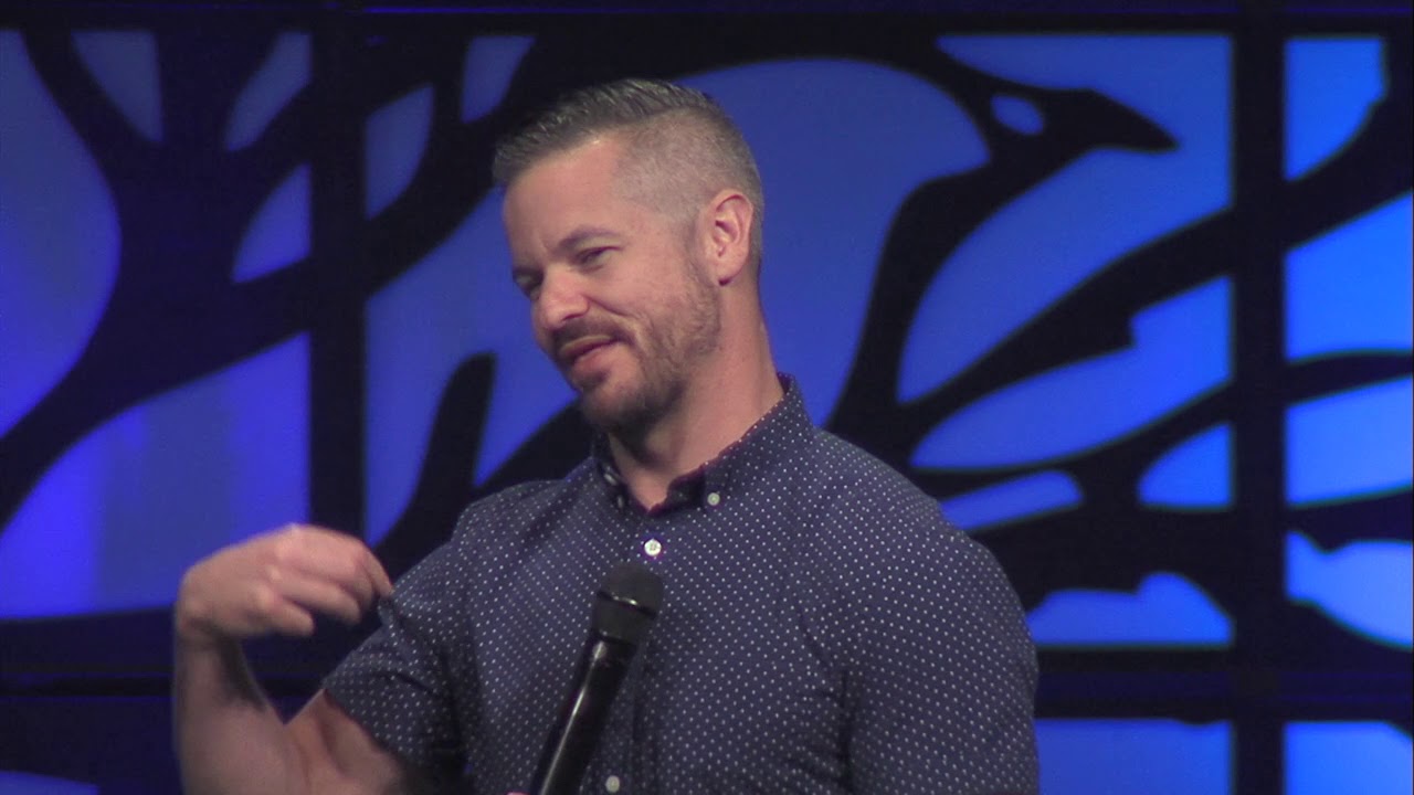 Tree Of Life - YouTube