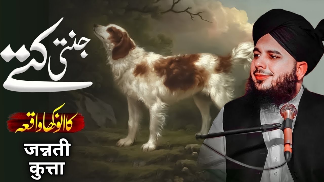 Aik Janti Kutte Ka Waqia | Peer Ajmal Raza Qadri Bayan 2025