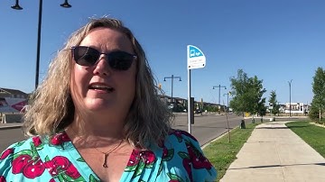 Saskatoon Transit Launches NEW OnDemand Transit Service