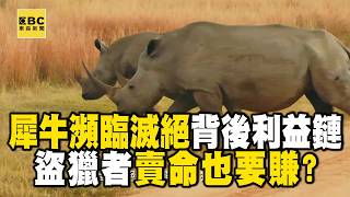 【精選】人類為取犀牛角「10年屠殺9000多隻犀牛」！盜獵者收買內鬼＋爬過電網「直擊捉拿過程」 @EARTHFOCUS_EBC   ｜舒夢蘭
