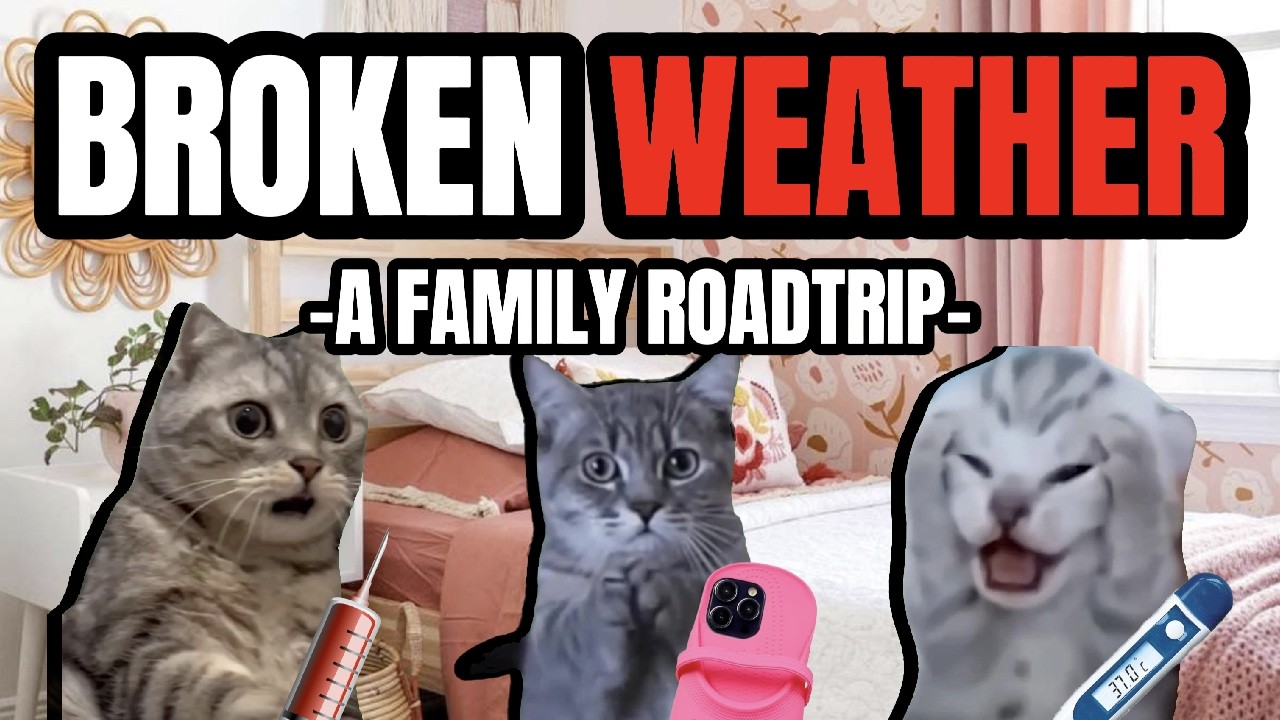 Cat MEMES: BROKEN WEATHER