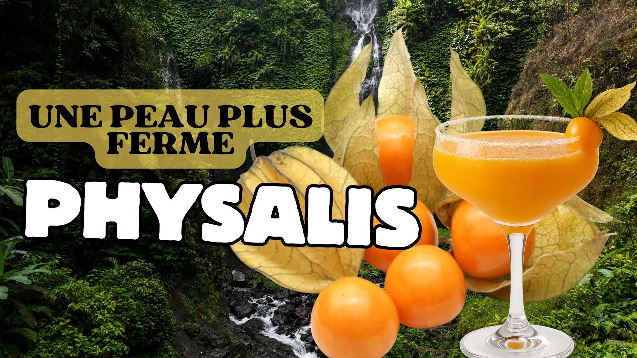 Une peau plus ferme avec ce fruit ? L’uchuva (goldenberry)