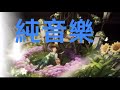 #純音樂#純靜