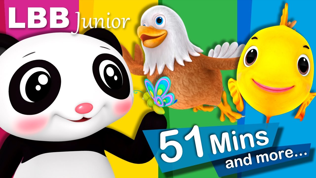 Nature Song And Lots More Original Songs From LBB Junior! YouTube