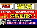 【穴党の菊花賞2024】【先週シンティレーションやボンドガールなど推奨！】穴党が菊花賞で狙いたい馬を紹介！