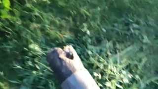 IMG 2124