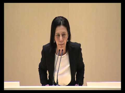 ნინო გოგუაძის გამოსვლა პარლამენტში 17.04.2014
