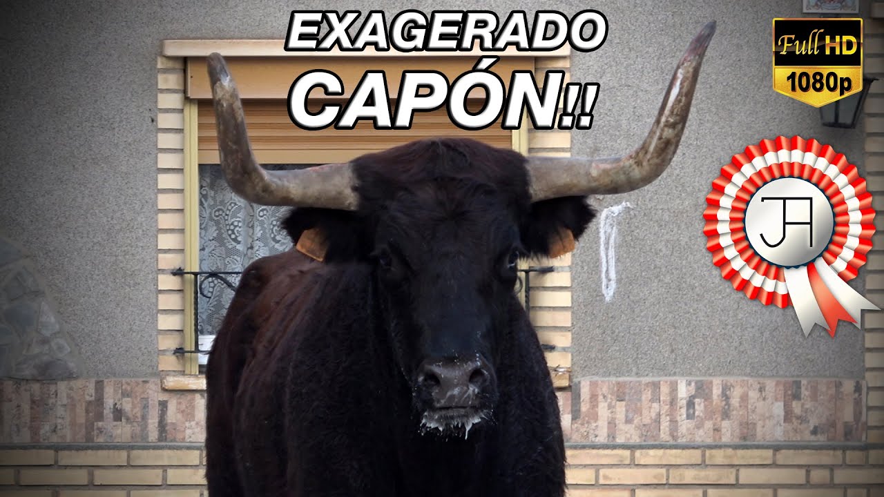 EXAGERADO CAPÓN ⚠️ Arriazu en Figueruelas (06-12-23)