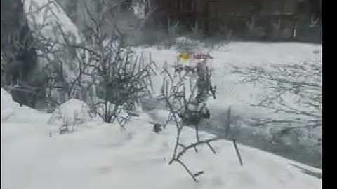 ADP (AOM) Clan - Blops Sliding Then Double Grenade Kill