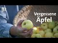 Apfeldetektive: Auf der Suche nach vergessenen Obstsorten | Zwischen Spessart und Karwendel | BR