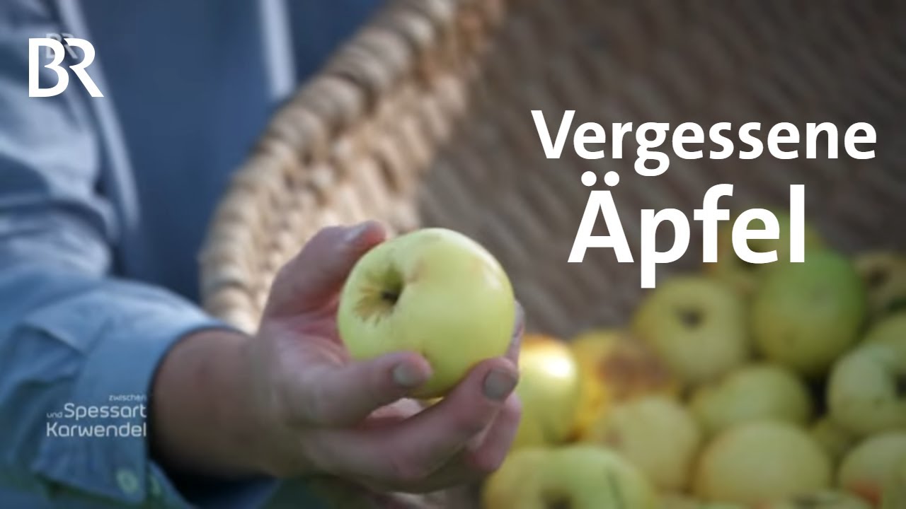 Apfeldetektive: Auf der Suche nach vergessenen Obstsorten | Zwischen Spessart und Karwendel | BR