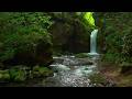【心が落ち着く】神秘的な森にある滝と渓流の水音ASMR【睡眠/集中/作業/リラックス】