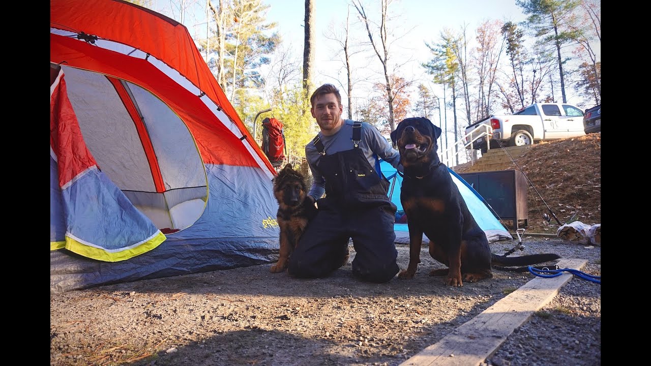 Late Fall Overnight Camping With My Dogs