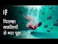 क्या हो अगर आप पिरान्हा मछलियों से भरे एक पूल में गिर जाएं | What If You Fell Into a Piranha Pool?