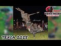 Llego con todo a Texca Rancho El Viento Negro 