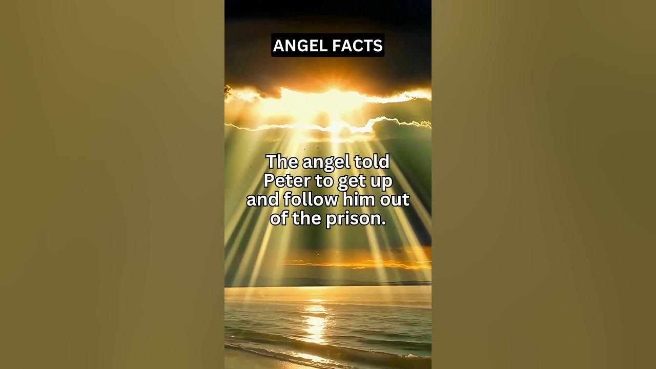What Did the Angel Tell Peter to Do? shorts YouTube