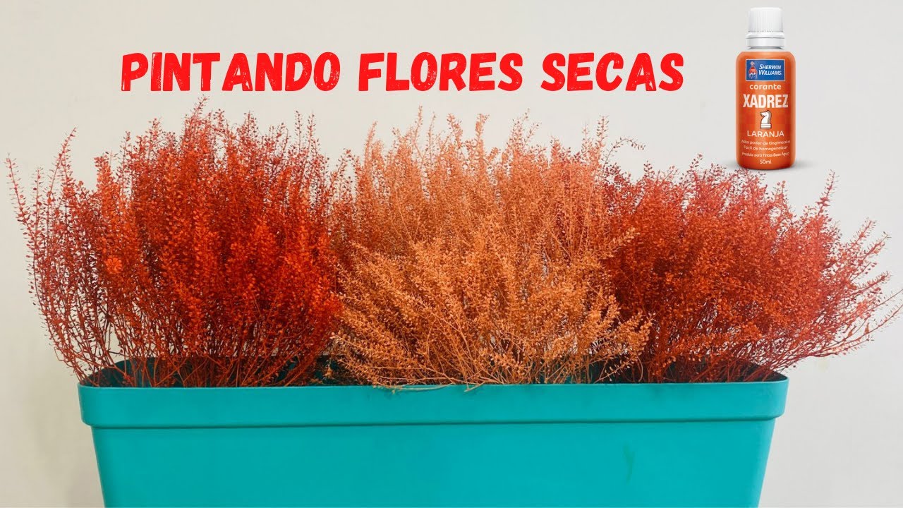 Pintando Flores Secas. ​⁠​⁠