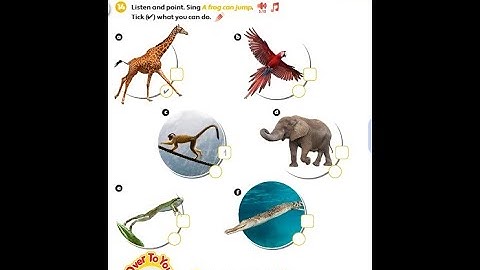 PB pg. 58 - Activity 16 - Listen, number and repeat. Read, stick and write.