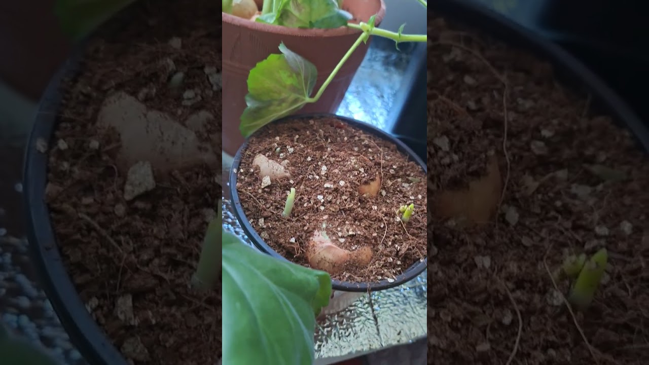 25 февраля 2026 г.Утро начинается не с кофе.