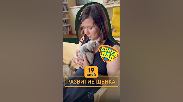 Навыки и потребности щенков на день жизни. #корги #животные #суперсобака #корж #собака