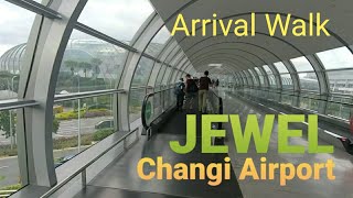 How to Go Jewel Changi Airport from Terminal 2 | Walking Around via Skybridge