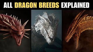 All Dragon Breeds in 'House of the Dragon' Explained