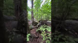 Exploring this mountain trail in Central New Jersey Part 2