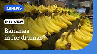 'Banana-geddon': The disease threatening the humble Cavendish | The World | ABC NEWS