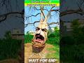 500 YEARS OLD TREE🌳🤯#comedyshorts #viral