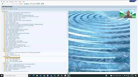 003 SAP   Input Invoice from ZCAT with TCode VA21 VA41 VA01 and VF01