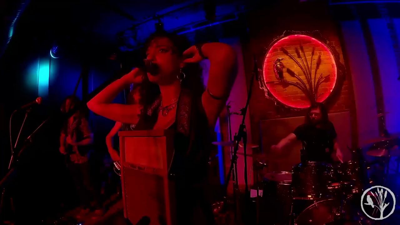 Смотреть «3/24/23 Bella's Bartok, Aching Bones, Live at Hawks & Reed» на YouTube Смотреть «3/24/23 Bella's Bartok, Aching Bones, Live at Hawks & Reed» на YouTube
