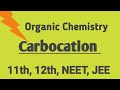 Organic Chemistry #Carbocation #Class 11th ,12th #Reaction intermediate
