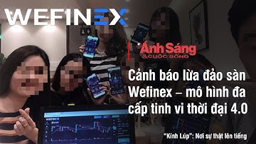 Cảnh báo lừa đảo sàn Wefinex – mô hình đa cấp tinh vi thời đại 4.0