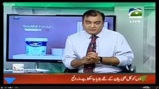 PSL Live Streaming T20 Cricket Pakistan Super League 2017 PSL Live Score screenshot 5