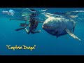 Spearfishing Latham Island - ASD "Captain Dunga"