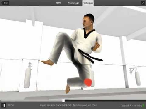AFK   FLYING SIDE KICK - iPAD RECORD