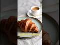 Artisan Croissant Recipe Steps