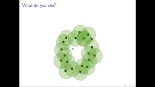 Invitation to Applied and Computational Topology