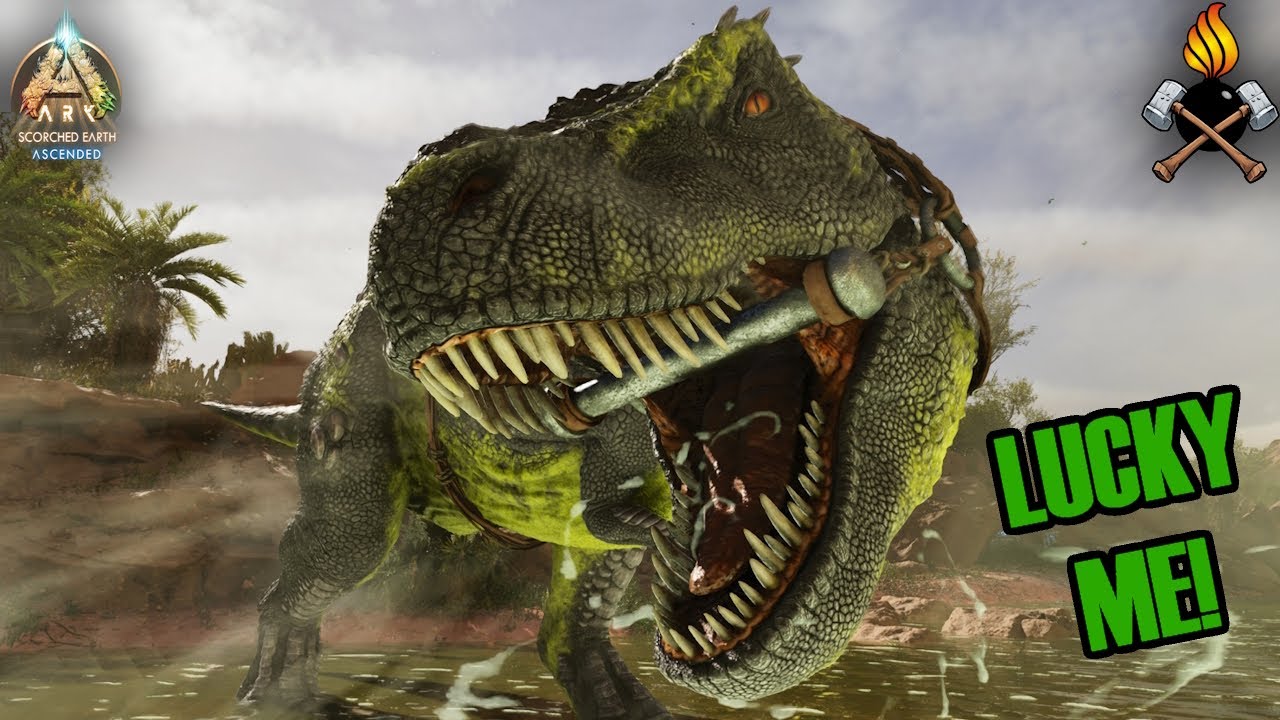 Max level killer & Yutyrannus Woes! [ARK: Scorched Earth - Hardcore No Flyers] E18