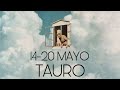 TAURO ♉️ 14-20 MAYO…MIRA DESDE OTRA PERSPECTIVA!!!…↖️⬆️⬇️↗️➡️