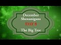 December Shenanigans || Day 8 || The Big Tree