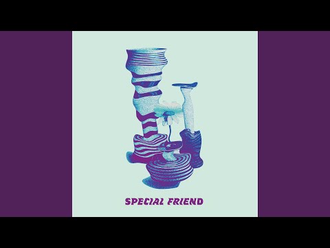 Special Friend artwork