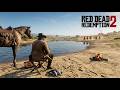 Entspanntes Angeln #070 #reddeadredemtion2 #ps4