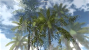 Coconut Palm Tree Pack