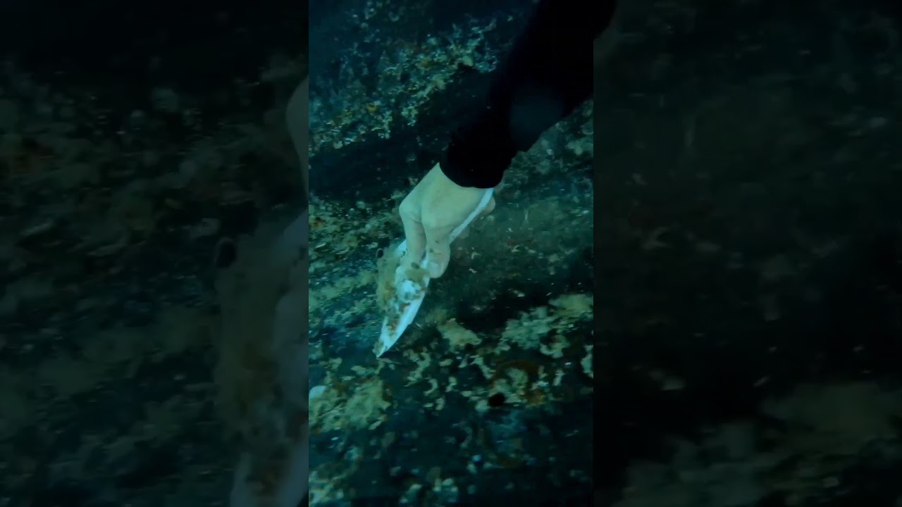 Boat cleaning after 2 months on anchor