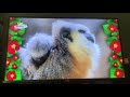 Baby Tv Bzzz Baby Tv Bzzz